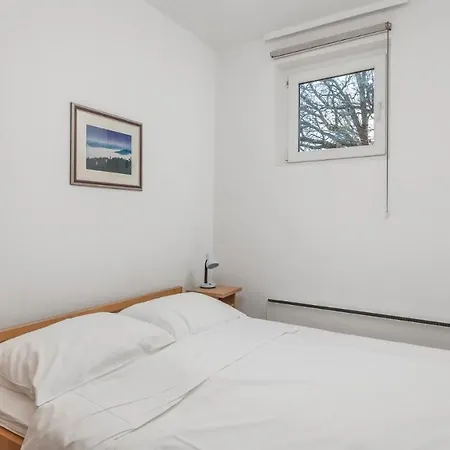 Apartment Rona Volta