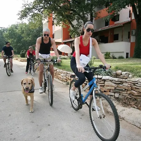 Apartment Rona Volta